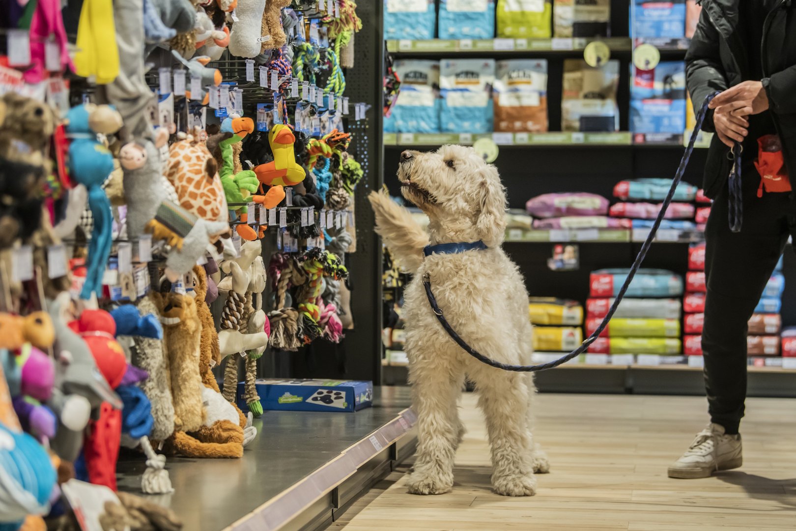 ZOOCITY | Ljubljana Šiška | Supernova